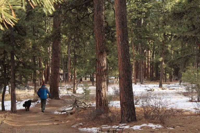 Relevés d&rsquo;habitats et mapping